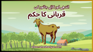 andhe aur kane janwar